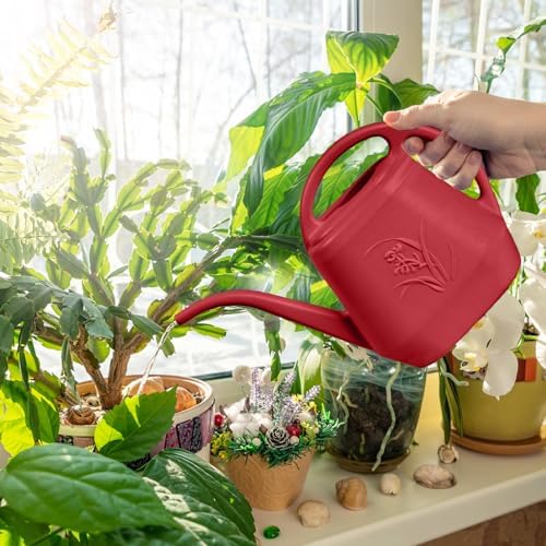 Hand Watering Can - for Home Plant Garden - 1/2 Gallon - Wine Red - Image 5