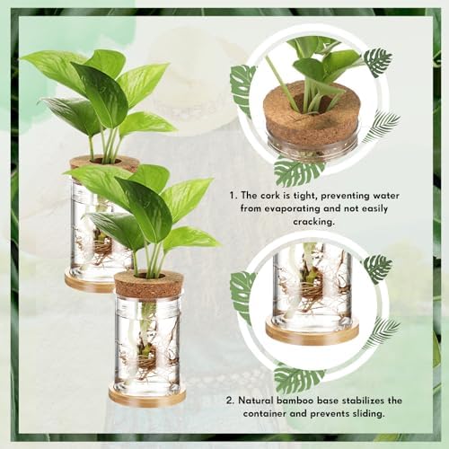 Baderke 12 Pack Propagation Vases for Plants, Classic Style - Image 3