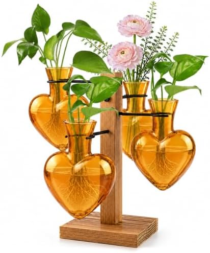 Plant Terrarium Propagation Station with 4 Heart Glass Vases - Amber by Lovin+Product