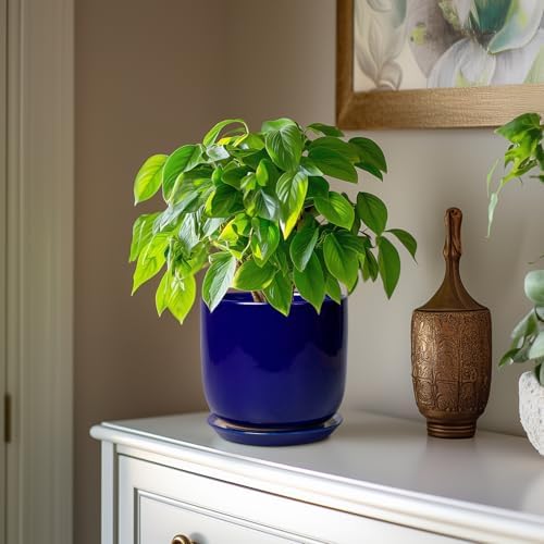 Ceramic Flower Pot 7 Inch - Cylinder 7 Inch Round Planter for Cactus Orchid Plants with Drainage Hole and Saucer, Home Office Room Desk Decor, Blue - Image 4