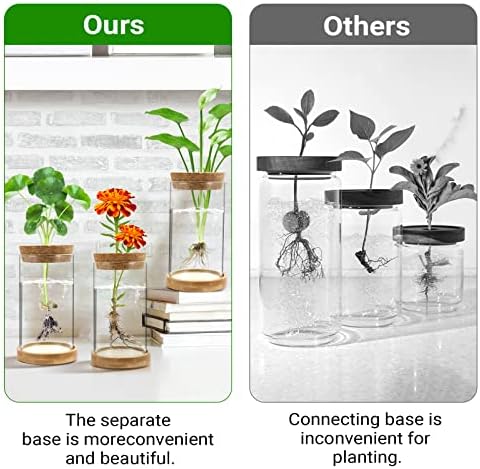 Plant Propagation Stations 3 Pack Plant Terrarium, Propagation Jars Glass Hydroponic Vases for Indoor Plants, Desktop Glass Plant Pot with Lid & Wooden Stand Gardening Gifts for Women Mom Plant Lovers - Image 4