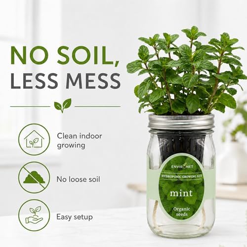 Hydroponic Herb Growing Kit, Self-Watering Mason Jar Herb Garden Starter Kit Indoor, Window Herbs Garden, Grow Your Own Herbs from Organic Seeds (Mint) - Image 4