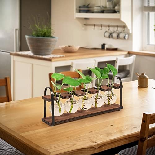 5-Bulb Plant Propagation Station, Glass Vase Terrarium, Wood Metal Stand - Image 6