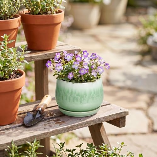 Ceramic Plant Pots - 4 Inch Pots for Plants with Drainage Hole and Saucer, Small Succulent Pot for Indoor Plants, Round Ceramic Planter, Home Office Decor, House Warming Gifts, Green - Image 6