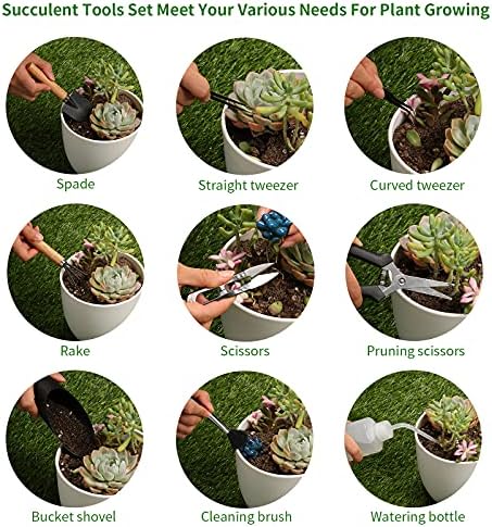 11Pcs Succulent Tools, Mini Garden Tools, Plant Repotting Set(No Flowerpot) - Image 3