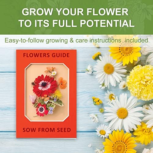 Indoor Daisy Garden Starter Kit with Gardening Tools - Planter Bags, Markers, Soil Disks and Shears, Home Gardening Gifts for Women Men Plant Lovers - Image 3