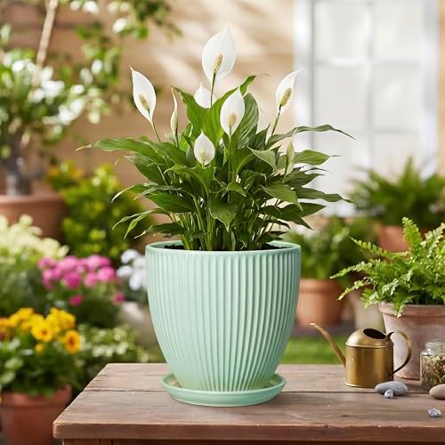Ceramic Pots for Indoor Plants, 6 Inch Plant Pot with Drainage Hole and Saucer, Round Modern Planters, Decorative Pots for Plants, Home Living Room Decor, Gifts for Plant Lovers, Mint Green - Image 4