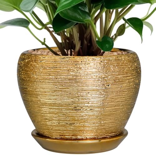 Ceramicfor Indoor Plant Pot 6 Inch - Ceramic Pot for Plants Outdoor Planter with Drainage Hole and Saucer Round Decorative Planter Modern Flower Pot for Home Decor Gold by Ceramicfor
