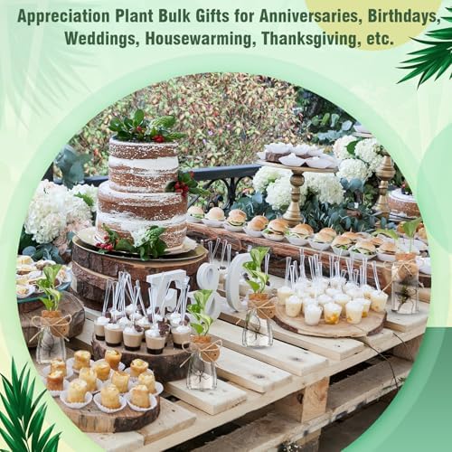 Baderke 12 Pack 3.35'' Plastic Plant Propagation Stations with Hole Lid Planter Vase Clear Propagation Jars with Thank You Tags for Plant Lover Gifts for Women Office Home Garden - Image 6