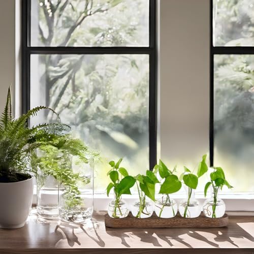 Mkono Plant Propagation Station, Desktop Glass 5 Bulb Vase Brown Wood Tray - Image 6