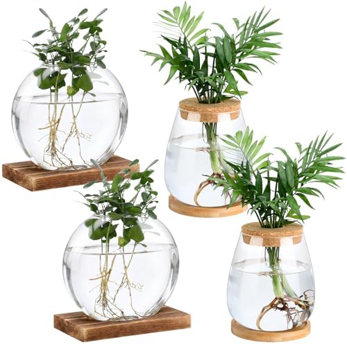 Layhit 4 Pcs Plants Propagation Stations vases Glass Planters with Wooden Lid and Bamboo Stand for Hydroponic Plants Gardening Gifts for Women Mom Home Office Tabletop Decoration(Cute Style) by ShungLan