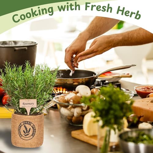 Herb Indoor Garden Kit- Unique Chrismas Herb Gardening Gift, Home Kitchen Gift for Mom, Friends, and Gardeners (Basil, Parsley, Mint, Thyme, Rosemary) - Image 4