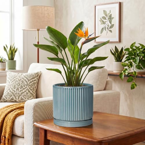 8 Inch Planter, Ceramic Pots for Plants with Saucer, Glaze Blue - Image 6
