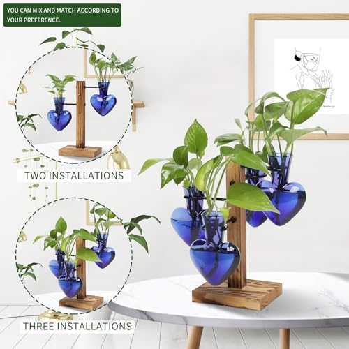 Plant Terrarium Propagation Stations with Wooden Stand - Image 5