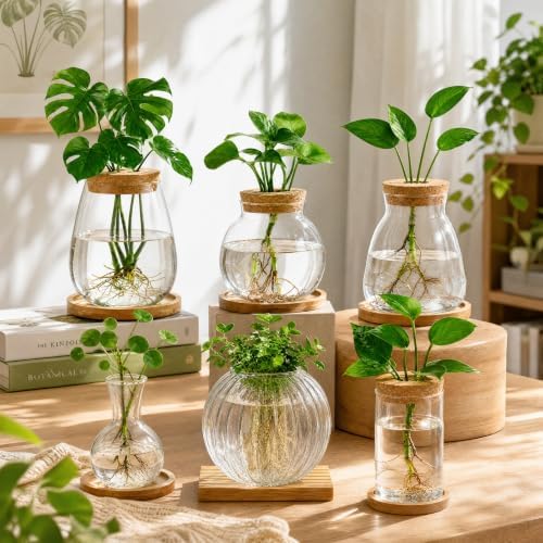 Honeydak 6 Pcs Plants Propagation Stations Glass Propagation Ribbed Vases - Image 5