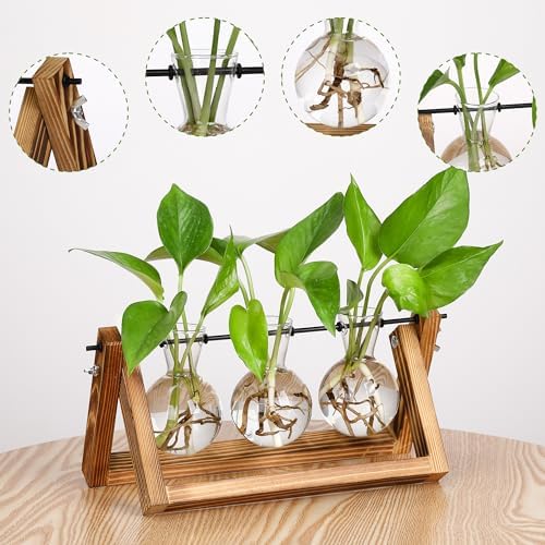 YIBOT Plant Propagation Stations with Wooden Stand & 3 Glass Bulb Vases - Image 3