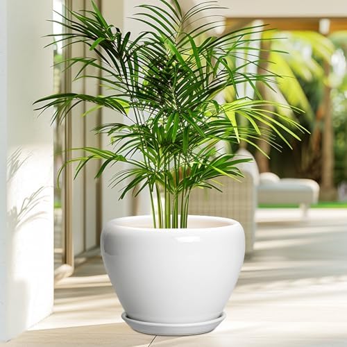 Ceramicfor Ceramic Pot for Plants - 10 Inch Planter with Drainage Hole and Saucer, Glaze Modern Round Flower Pot for Indoor Plants, Housewarming Gift, Home Decor, White - Image 4