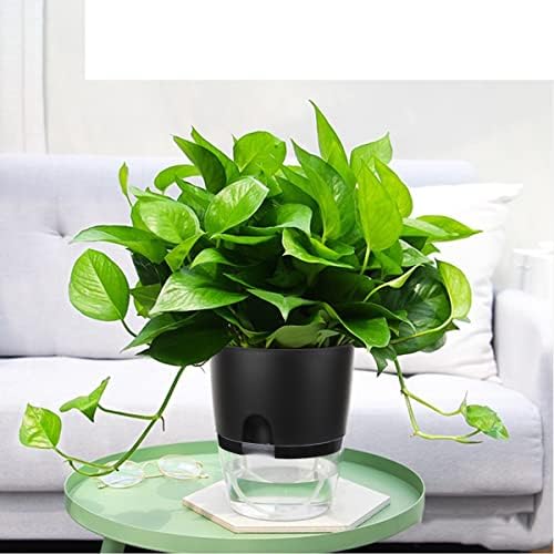 Vanavazon 6 Inch Self Watering Pots for Indoor Plants African Violet Pots - Image 5