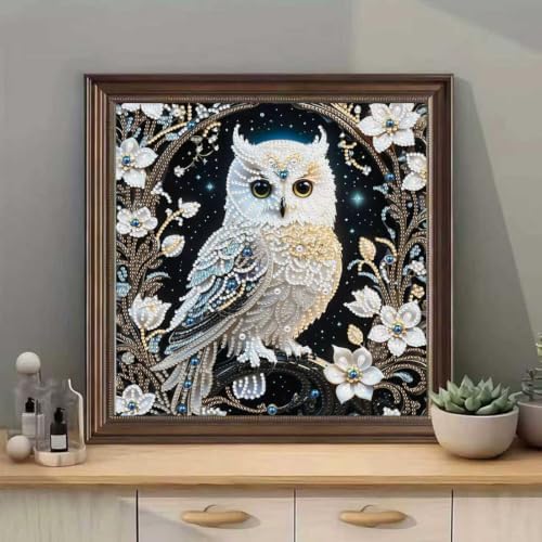 Owl Special Shape Diamond Painting Kits for Adults DIY crafts 12 x 12inch - Image 2