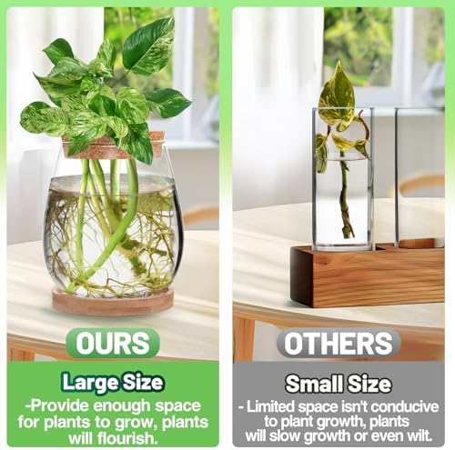 Biggun 2 Pcs Glass Plants Propagation Stations for Home Office Decor - Image 2