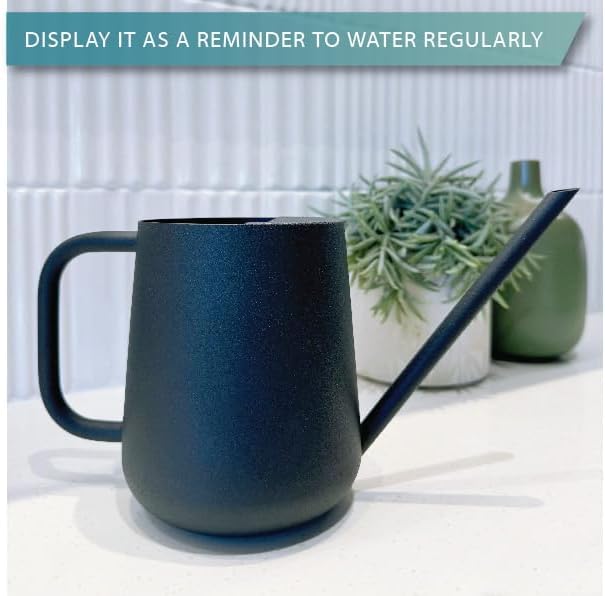 Metal Indoor Plant Watering Can with Long Spout 1000ml - Black - Image 2