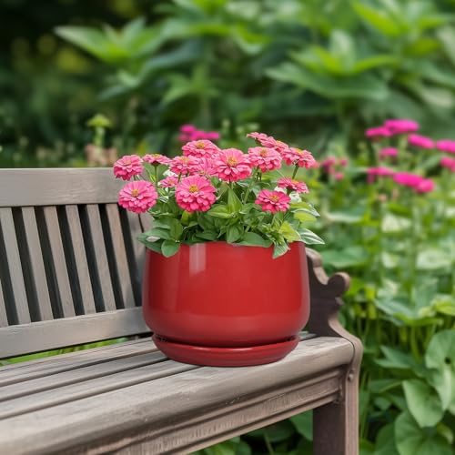G EPGardening Ceramic Planter 7 Inch - Flower Pots for Indoor Plants, Round Planter with Drainage and Ceramic Tray, Modern Plant Pot, Bathroom Decor, Teacher Gifts, Red - Image 4