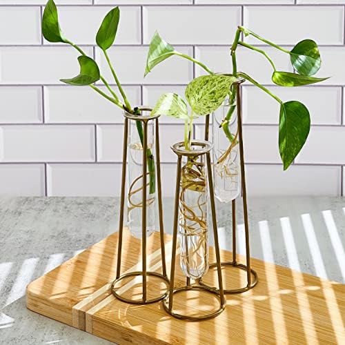 Propagation Station Terrariums with Gold Metal Stand - Kate Aspen 3 Glass Test Tube Planters for Indoor Plant, Air Plants, Plant Clippings, Cut Flowers, Herbs, Succulents | Home Decor Table Decoration by KateAspen