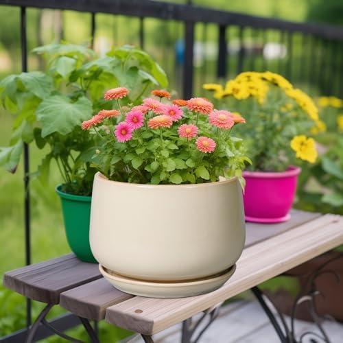 G EPGardening Ceramic Plant Pots - 9 Inch Round Planter, Ceramic Flower Pots with Drainage and Saucer, Modern Indoor Outdoor Planter, Room Decor, Home Gifts, Beige - Image 2