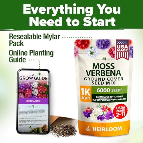 HOME GROWN Verbena Moss Seeds, 6,000+ Seeds, Verbena tenuisecta - Image 7