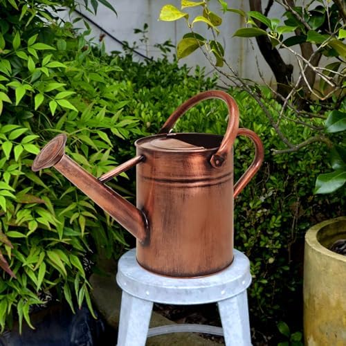 Metal Watering Can with Removable Spout, Galvanized Watering Can, Perfect for Indoor Use and for Outdoor Use (1 Gallaon, Metal) - Image 4