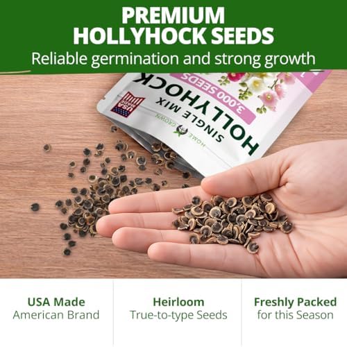 HOME GROWN Hollyhock Single Mix 3000 Flower Seeds 1 oz - Image 7