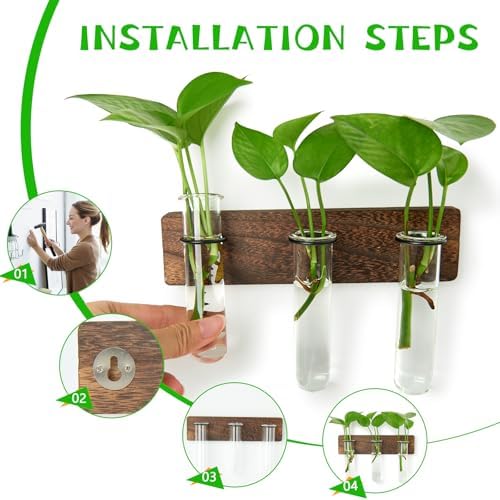 XXXFLOWER Wall Mounted Plant Terrarium with Wooden Stand 3 PCS - Image 3