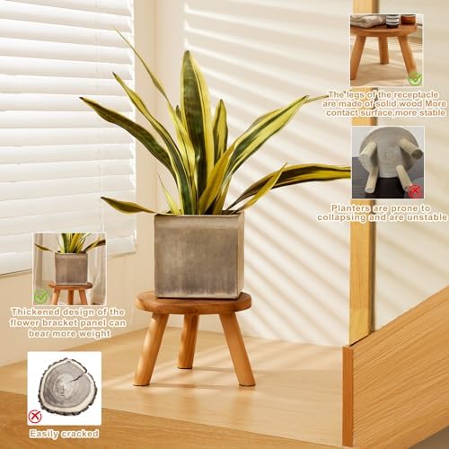 2 Pcs Plant Stand Indoor,11-12" Wood Plant Stand Holder with Growth Ring - Image 4