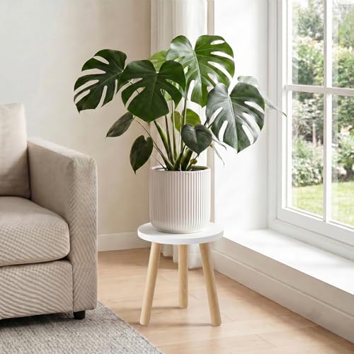 Wood Plant Stands Indoor, White Plant Stand Modern Plant Table for Large Plants, Wooden Plant Stool, Tall Plant Holder Small Round Side for Living Room, Balcony, Office (1 Pack) - Image 2