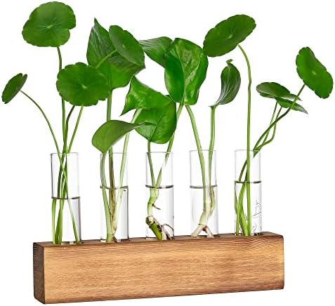 YIBOT Plant Propagation Station, Plant Terrarium with Wooden Stand by YIBOT