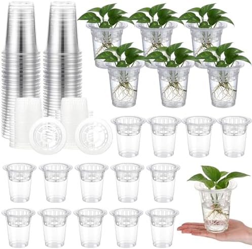 Baderke 70 Pcs Plastic Plant Propagation Vase for Indoor Decor, 4.25'' by Baderke