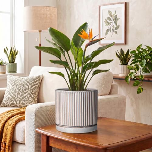 8 Inch Plant Pots, Ceramic Flower Pot, Round Planter with Tray, Grey - Image 6