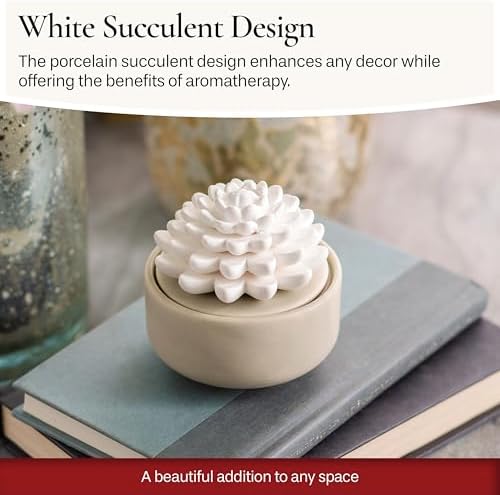Airomé White Succulent, Porcelain Passive Essential Oil Diffuser (with 15ml Peppermint Essential Oil) – Non-Electric, Battery-Free, Improves Sleep, and Relieves Stress - Image 7
