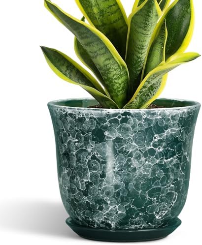 8 Inch Plant Pot - Ceramic Planter with Drainage Hole and Saucer, Round Planter for Indoor Outdoor, Modern Planters, Decorative Flower Pots, Office Room Home Decor, Plant Lover Gifts, Green by SUNPOTFOR