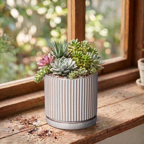 Ceramic Planter, 4 Inch Plant Pots, Round Pots for Plants, Grey - Image 3