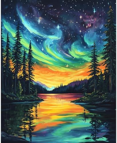 Banket Paint by Numbers Kit for Adults Beginner Starry Night DIY Painting Kits for Adults Landscape Easy Adult Paint by Number Kits on Canvas Color by Numbers for Gifts Home Wall Decor 16x20 Inch by Unknown