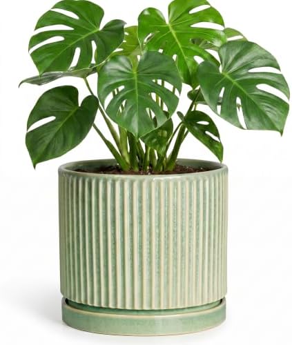 Ceramic Planter, 8 Inch Plant Pots, Round Flower Pot, Green by Unknown