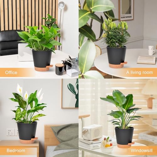 Vanslogreen Planters for Indoor Plants 7/6.5/6/5.5/5 Inch, Self Watering Flower Pots with Drainage Holes and Saucers 5 Pack Plastic Pots for Plants, Succulents, Herbs, Cactus, Flower, Black - Image 6