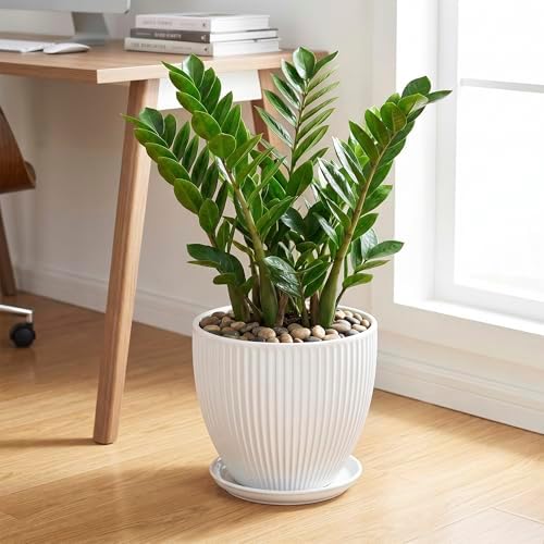 10 Inch Planter, Ceramic Plant Pots with Drainage Hole and Saucer, Modern Large Planters for Indoor Plants, Round Planter, Decorative Flower Pots, Living Room Decor, Gifts for Men Women, White - Image 3