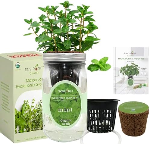Hydroponic Herb Growing Kit, Self-Watering Mason Jar Herb Garden Starter Kit Indoor, Window Herbs Garden, Grow Your Own Herbs from Organic Seeds (Mint) - Image 2