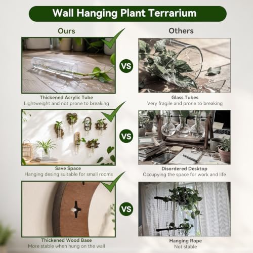 Artilady Plant Propagation Station, Moon Wall Hanging Wood Terrariums Tube - Image 5