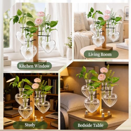 Plant Terrarium Propagation Station with 4 Heart Glass Vases - Transparent - Image 6