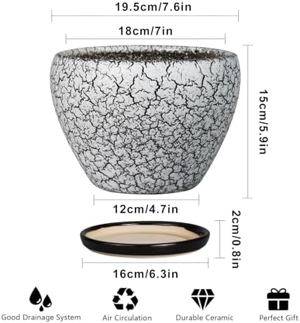 Ceramicfor Ceramic Plant Pot 8 Inch, Glaze White and Black - Image 3