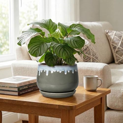 Ceramic Flower Pots, 9 Inch Planters for Indoor Plants, Grey-Blue - Image 5