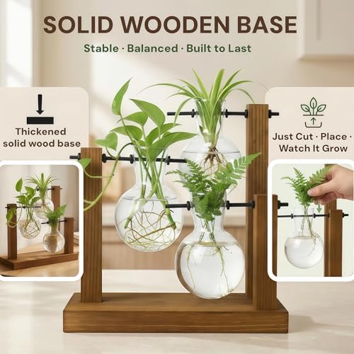 Plant Propagation Station, Wooden Stand with 3 Glass Vases - Image 3
